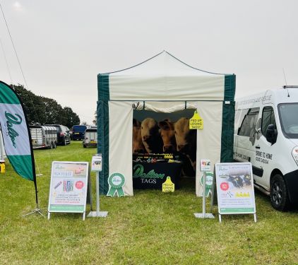 Click Here To Enlarge This Photo Of Mini Marquee Hire