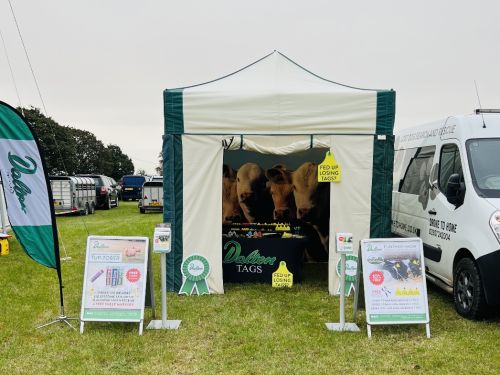 Trade Stand Marquee